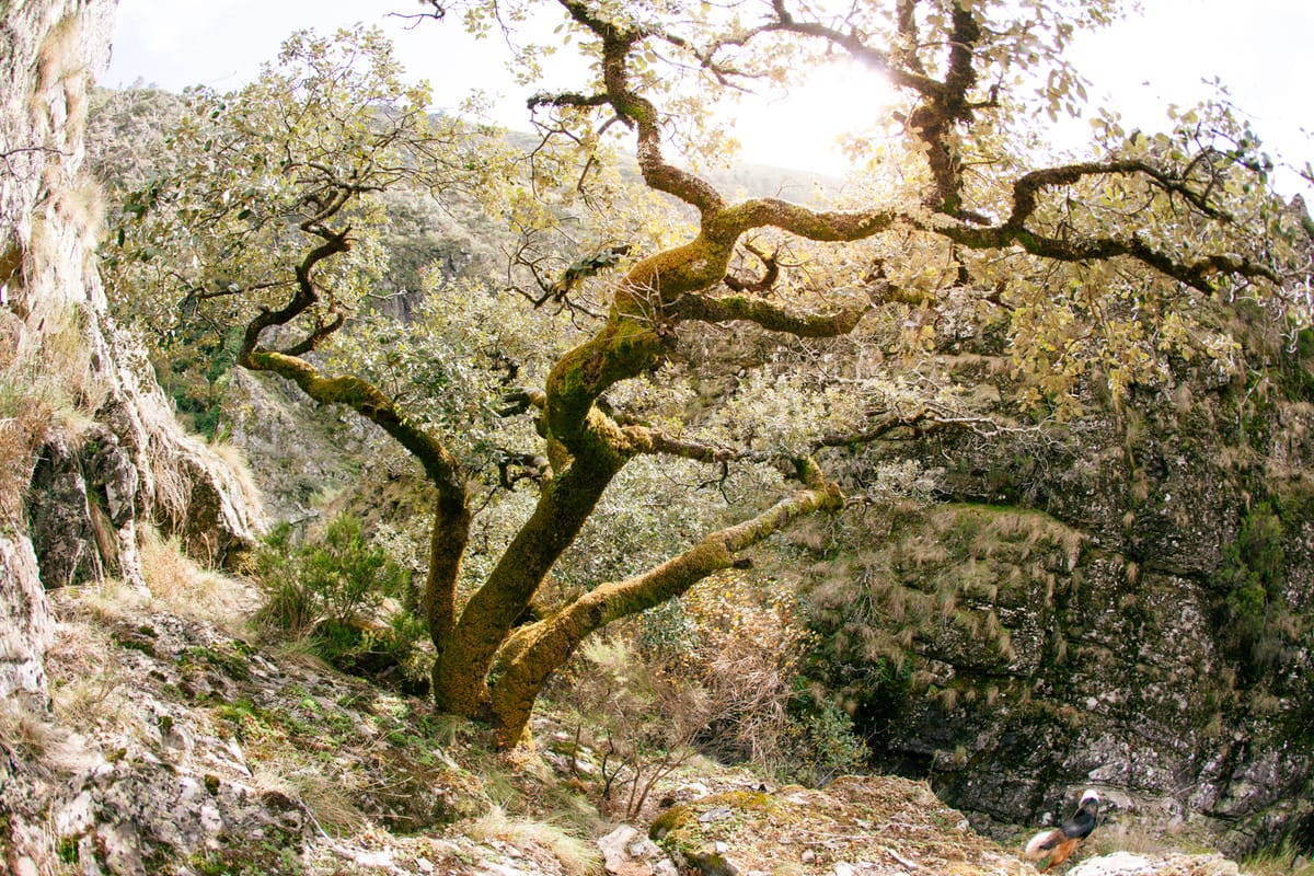 When nature is free.